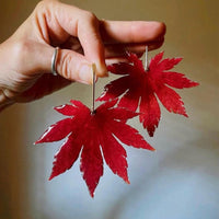 Pressed Japanese Maple Leaf with Gold Stem Stud