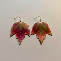 Real Amur Maple Leaves Earrings