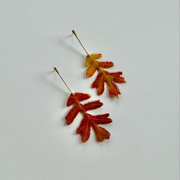 Pressed Fall Oak Leaf with Gold Stem Stud