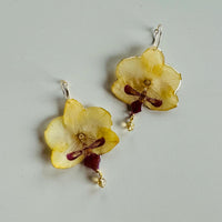 Small Frameless Pressed Yellow & Maroon Orchids with Cirtine