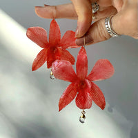 Coral Orchids with Crystal Quartz