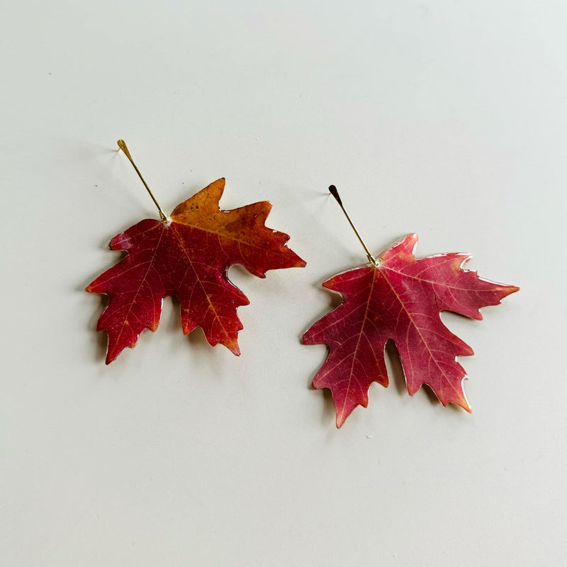 Larger Pressed Fall Maple Leaf with Gold Stem Stud