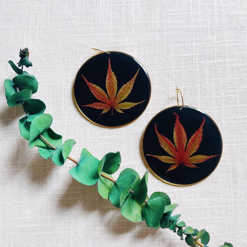 Fall Japanese Maple Black Hoops