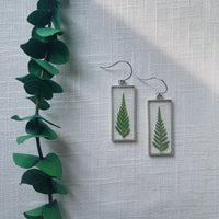 Ferns in Silver Rectangle