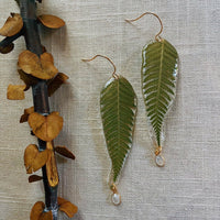 Frameless Fern Fronds with Moonstone