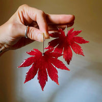 Frameless Japanese Maple Leafs with Gold Stem Stud