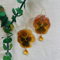 Large Frameless Burgundy & Yellow Pansies with Topaz