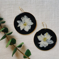 Large White Larkspur on Black with Hoops