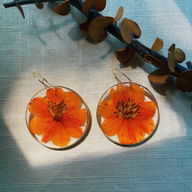 Orange Cosmos Extra Large Rounds with Hoops