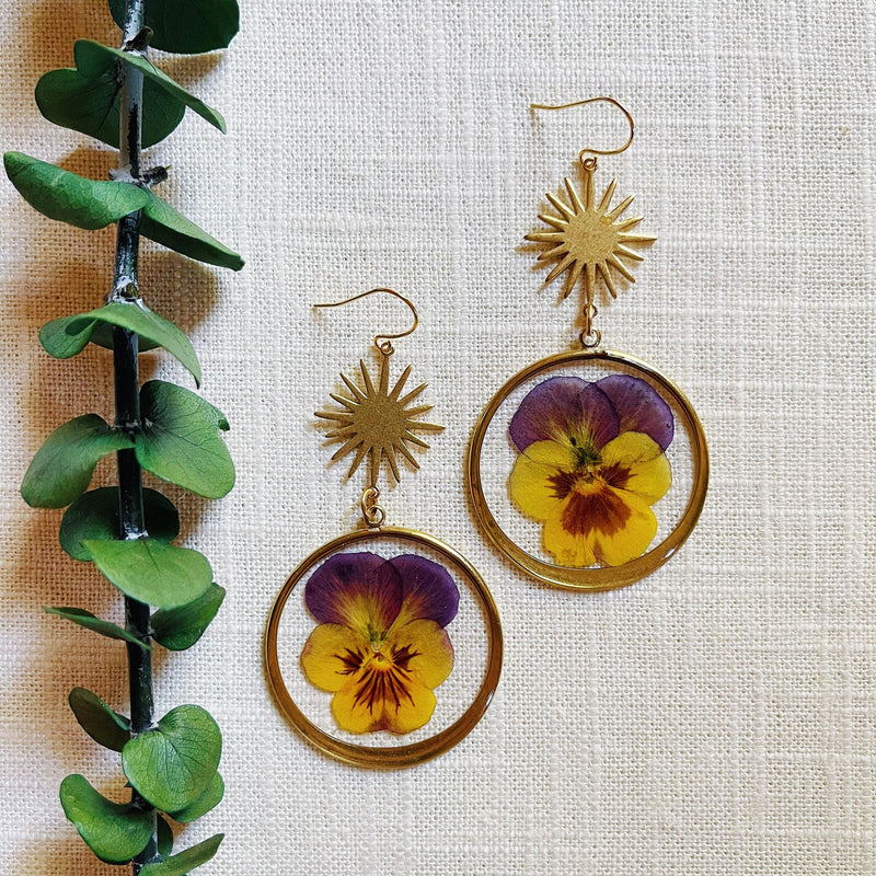 Purple & Yellow Pansies with Stars